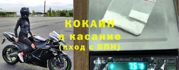 сатива Абаза