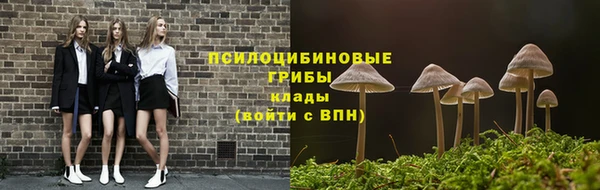 PSILOCYBIN Алзамай