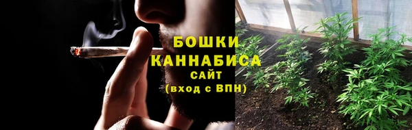 PSILOCYBIN Алзамай