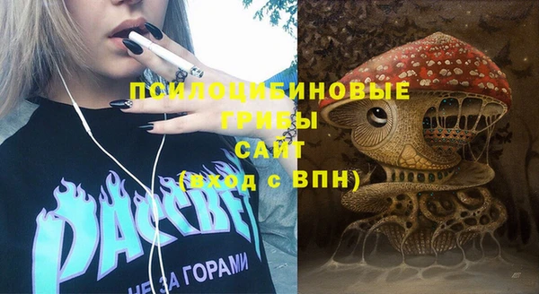 бошки Алексеевка