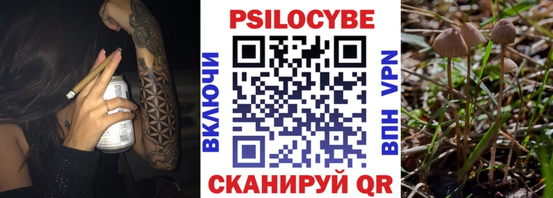 что такое   Духовщина  Псилоцибиновые грибы Psilocybine cubensis 